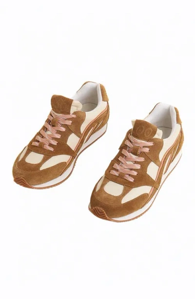 Charlotte Stone Hazel Sneaker In Brown