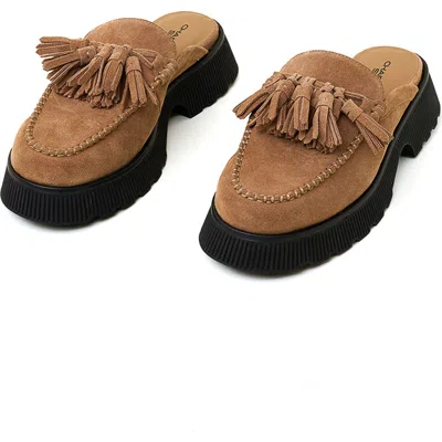 Charlotte Stone Herschel Tasseled Loafer Slide In Brown