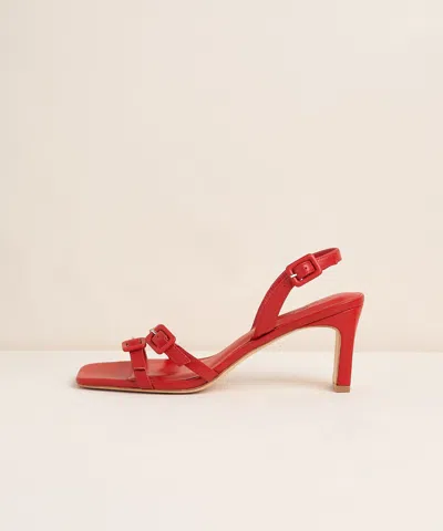 Charlotte Stone Kaylin In Begonia