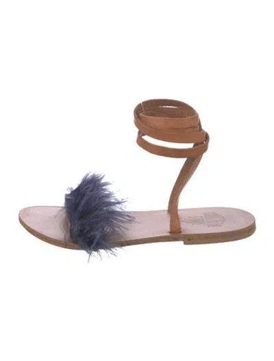Pre-owned Charlotte Stone Leather Sandals In Blue/brown