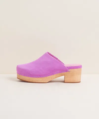 Charlotte Stone Martino In Orchid