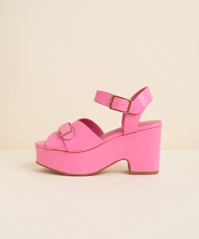 Charlotte Stone Raf In Flamingo
