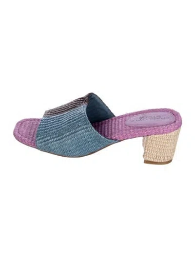 Pre-owned Charlotte Stone Raffia Colorblock Pattern Slides In Blue/purple