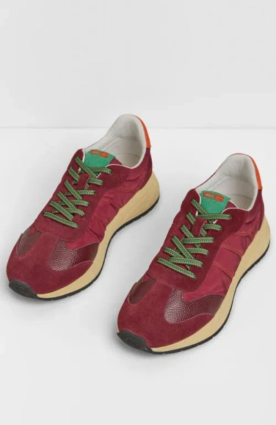 Charlotte Stone Sawyer Sneaker In Merlot