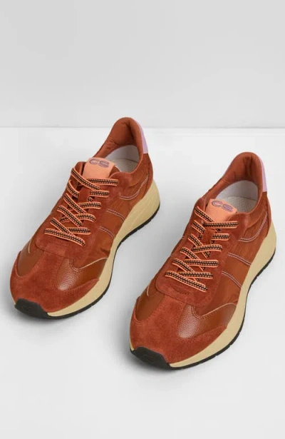Charlotte Stone Sawyer Sneaker In Sienna