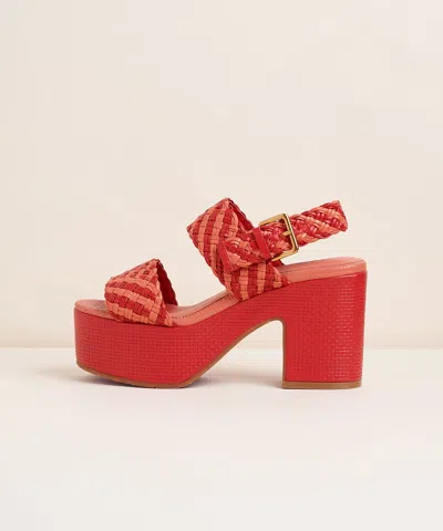 Charlotte Stone Sola In Begonia