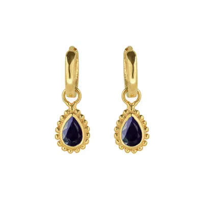 Charlotte's Web Jewellery Women's Blue / Gold / Black September Birthstone Gold Plated Huggie Hoops - Sapphire