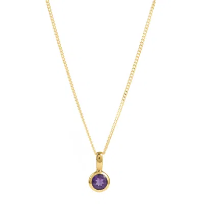 Charlotte's Web Jewellery Women's February Birthstone Charm Gold Necklace - Amethyst