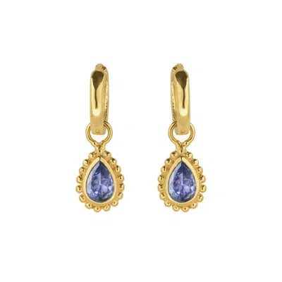 Charlotte's Web Jewellery Women's Gold / Purple December Birthstone Gold Plated Huggie Hoops - Tanzanite