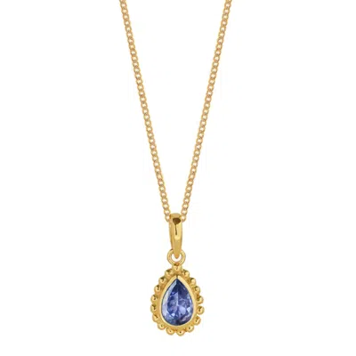 Charlotte's Web Jewellery Women's Gold / Purple December Birthstone Gold Plated Necklace - Tanzanite