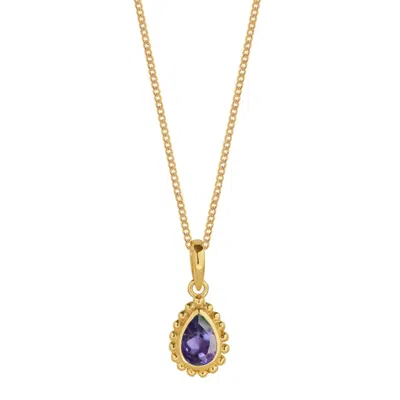 Charlotte's Web Jewellery Women's Gold / Purple February Birthstone Gold Plated Necklace - Amethyst