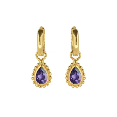 Charlotte's Web Jewellery Women's Gold / Purple February Birthstone Huggie Hoops - Gold Amethyst