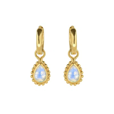 Charlotte's Web Jewellery Women's Gold / White June Birthstone Gold Plated Huggie Hoops - Moonstone