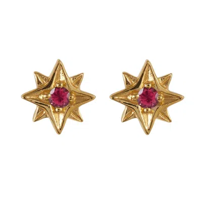 Charlotte's Web Jewellery Women's Guiding North Star Gold Vermeil Stud Earrings - Rhodolite Garnet