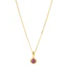 Charlotte's Web Jewellery Women's July Birthstone Charm Gold Vermeil Necklace - Ruby In Gold