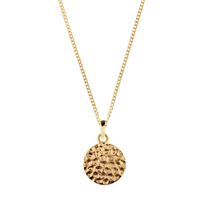 Charlotte's Web Jewellery Women's Lakshmi Hammered Disc Gold Vermeil Necklace