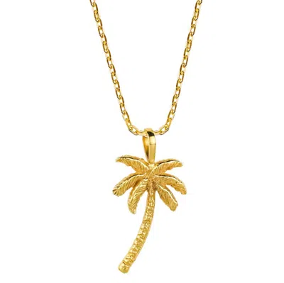 Charlotte's Web Jewellery Women's Oasis Palm Gold Necklace