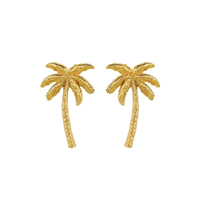 Charlotte's Web Jewellery Women's Oasis Palm Gold Stud Earrings