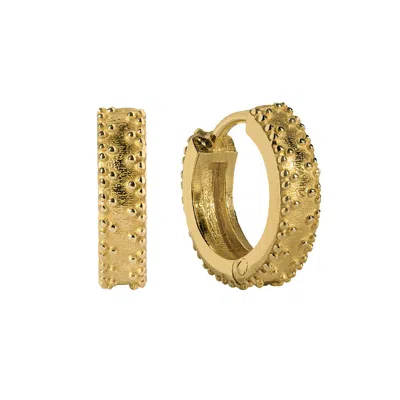Charlotte's Web Jewellery Women's Rania Gold Huggie Hoop Earrings