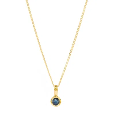 Charlotte's Web Jewellery Women's September Birthstone Charm Gold Vermeil Necklace - Sapphire