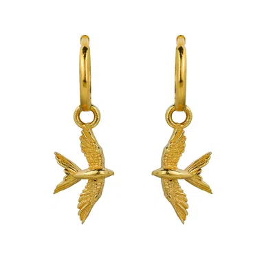 Charlotte's Web Jewellery Women's Swallow In Flight Gold Hoop Earrings