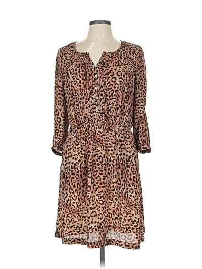 Pre-owned Charming Charlie Casual Dress In Brown