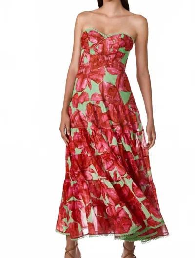 Charo Ruiz Ambar Long Dress In Green Blossom In Red