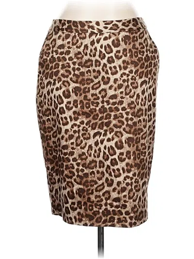 Pre-owned Charter Club Casual Skirt In Brown