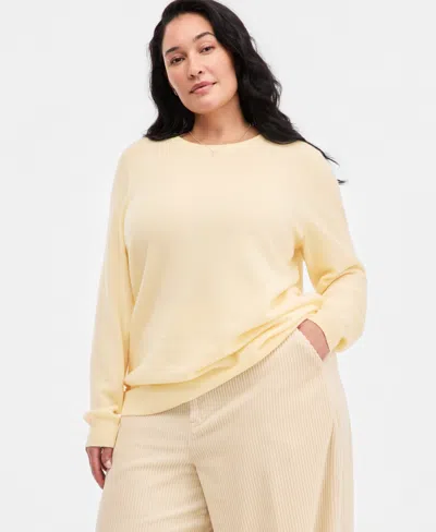Charter Club Plus Size 100% Cashmere Crewneck Sweater, Macy's Exclusive In Multi