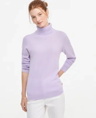 Charter Club Womens 100 Cashmere Turtleneck Sweater Pxs Xxl Macys Exclusive In Purple