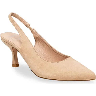 Chase & Chloe Chase And Chloe Alodia Pointed Toe Slingback Pump In Black