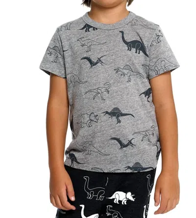 Chaser Kids' Boy's Dino Jam Short Sleeve Tee In Grey In Gray