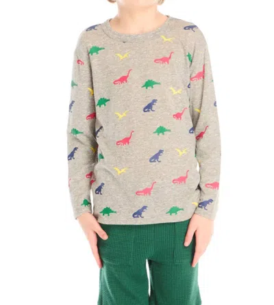 Chaser Kids' Boy's Multi Dinos Long Sleeve Top In Grey