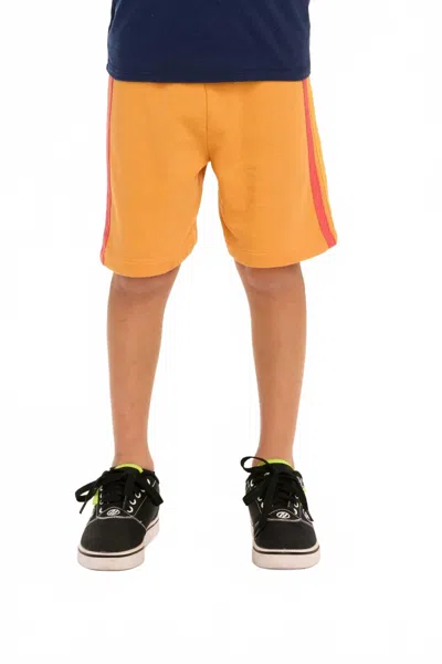 Chaser Kids' Boys Side Stripe Shorts In Gold