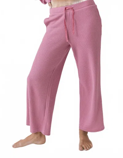 Chaser Brandy Cropped Steel Magnolia Jogger In Pink