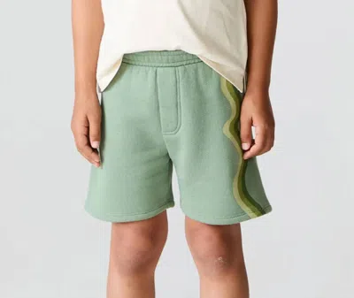 Chaser Kids' Cotton Terry Shorts In Green Wave Stripe