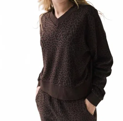 Chaser Florie Pullover Sweatshirt In Leopard In Brown
