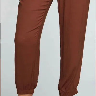 Chaser Heirloom Wovens Cropped Paperbag Waist Pant In Brown