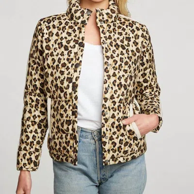 Chaser Heirloom Wovens Quilted Cropped Mock Neck Puffer Jacket In Brown