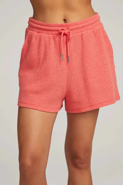 CHASER KESH SHORT IN FLAME
