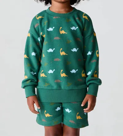 Chaser Kids' Dino Party Sweatshirt In Broccolini In Multi
