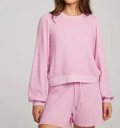 Chaser Owlsey Pullover In Pink