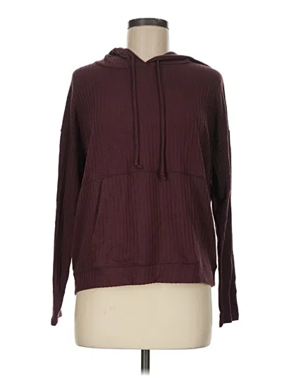 Pre-owned Chaser Pullover Hoodie In Burgundy