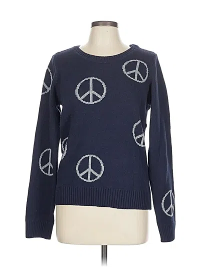 Pre-owned Chaser Pullover Sweater In Blue