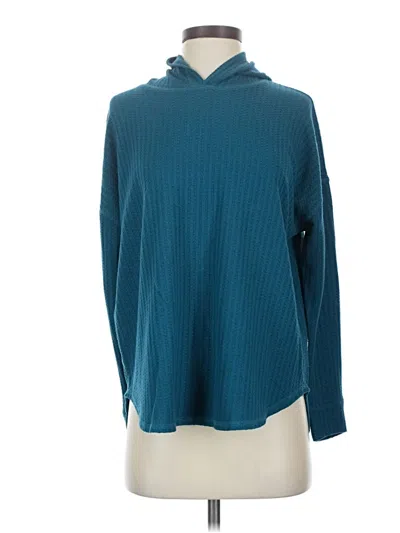 Pre-owned Chaser Pullover Sweater In Blue