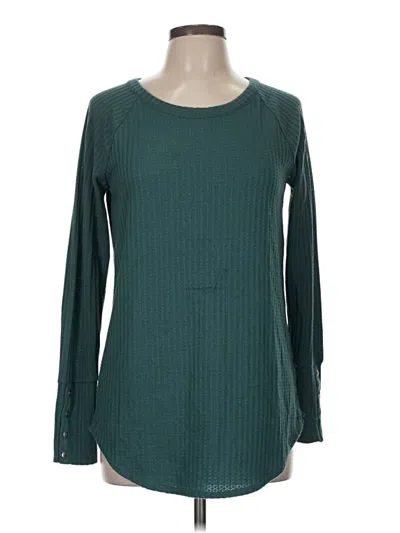 Pre-owned Chaser Pullover Sweater In Blue