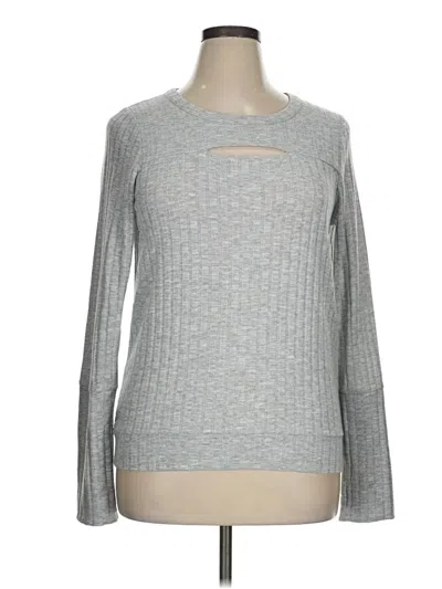 Pre-owned Chaser Pullover Sweater In Gray
