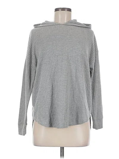 Pre-owned Chaser Pullover Sweater In Gray