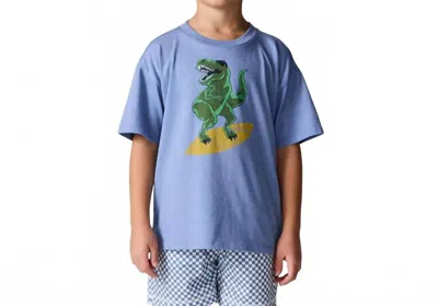 Chaser Kids' Surfin' T-rex Vintage Jersey Tee In Blue