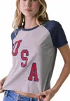 Chaser Usa Tee In Heather Grey In Gray